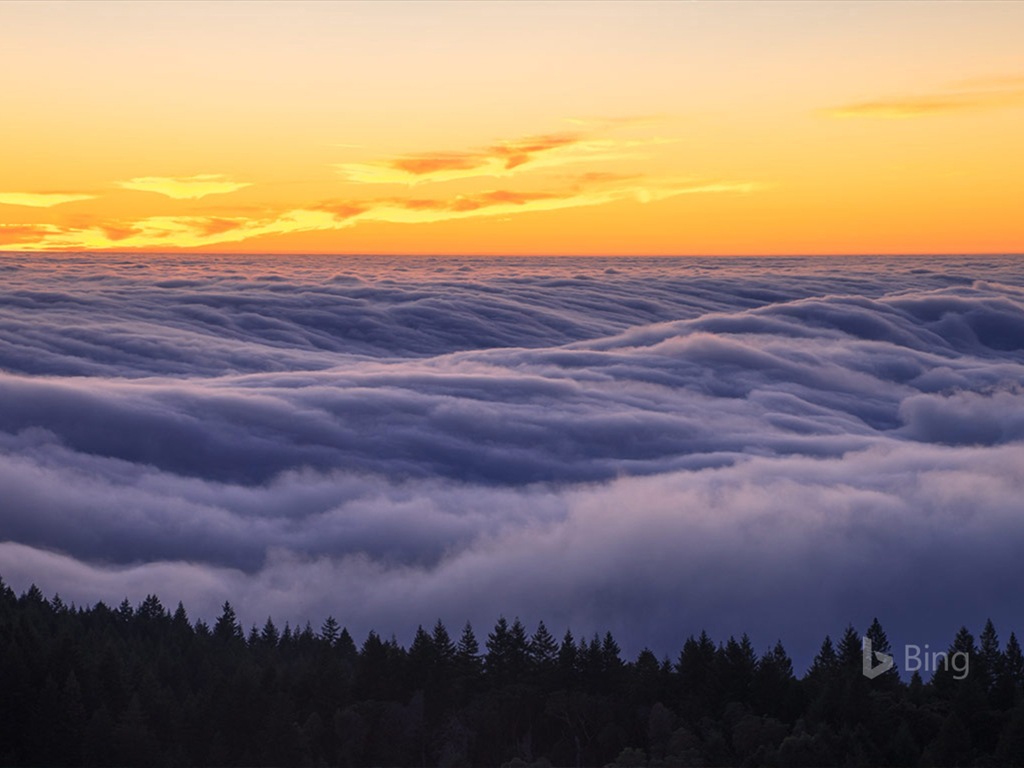 Květen 2017 Bing téma tapety s vysokým rozlišením #31 - 1024x768