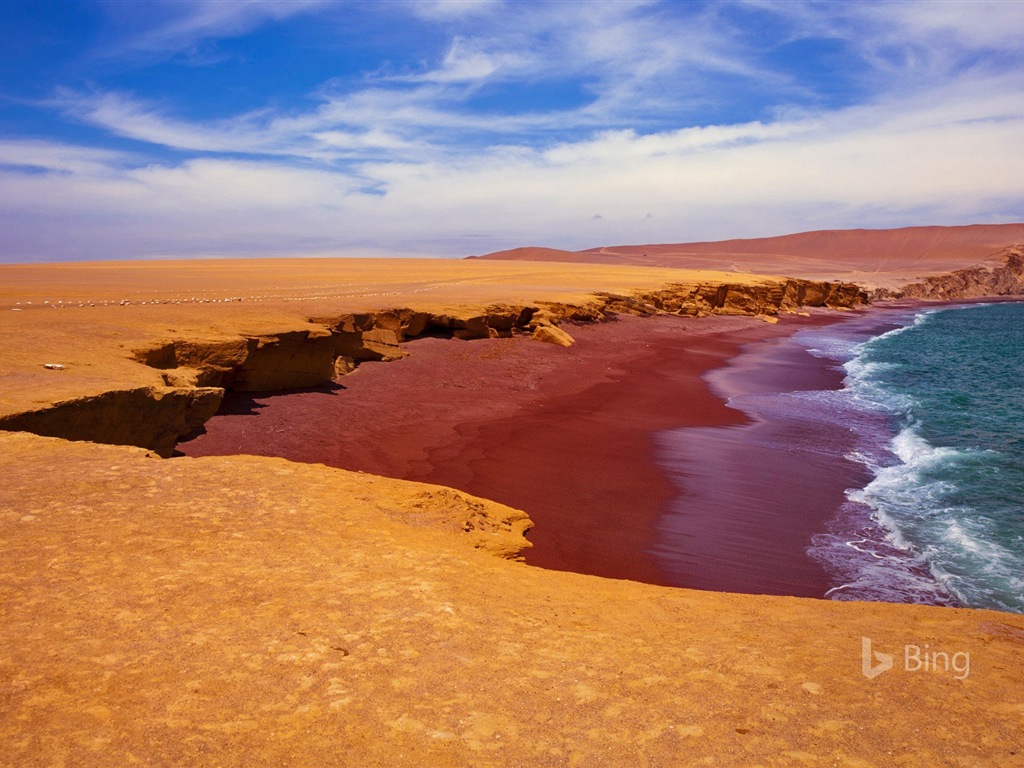 Junio de 2017 Tema de Bing de fondo de pantalla de alta definición #20 - 1024x768