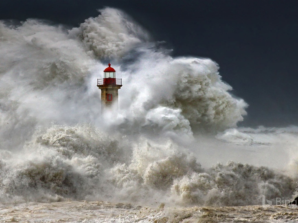 Julio de 2017 tema de Bing de fondo de pantalla de alta definición #16 - 1024x768