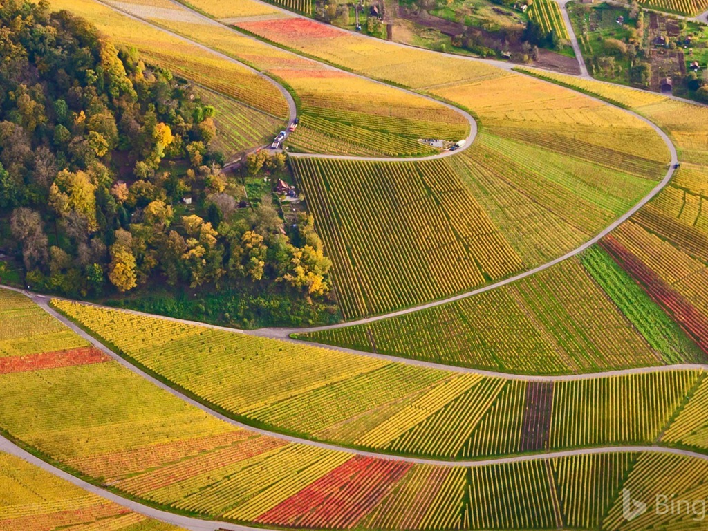 Září 2017 Bing téma HD tapetu #20 - 1024x768