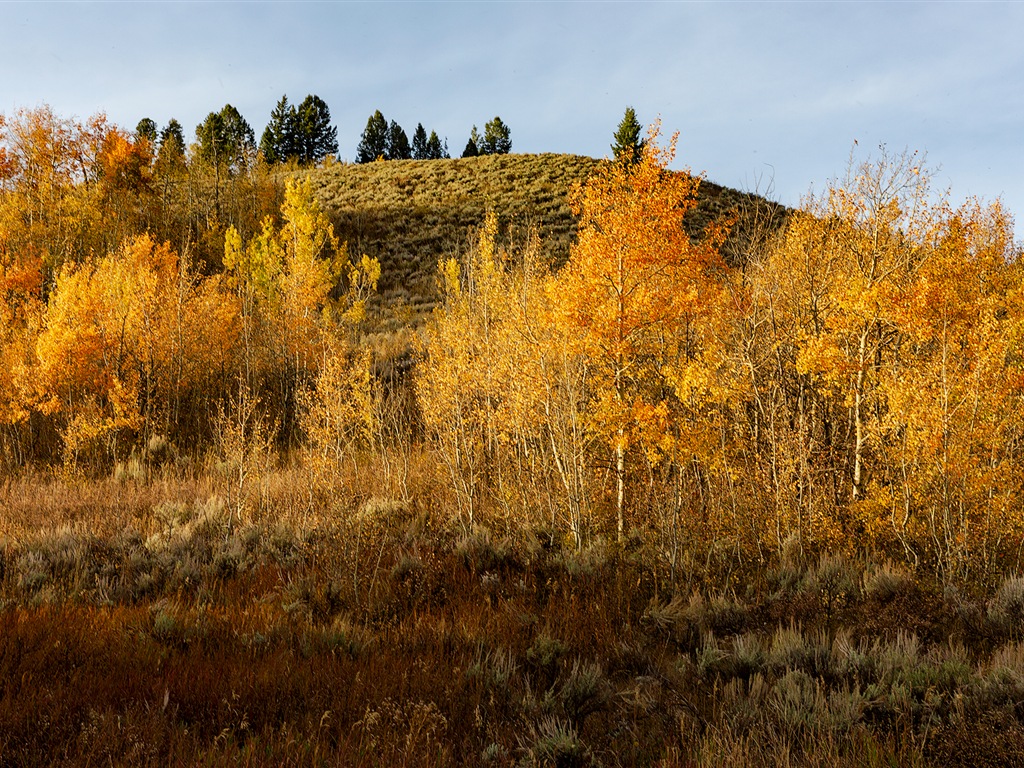 USA Grand Teton národní park přírodní krajiny HD tapety #14 - 1024x768