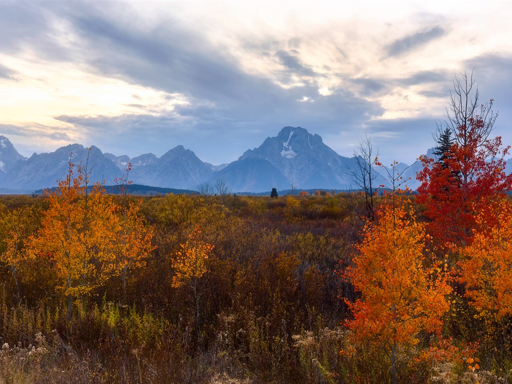 미국 그랜드 Teton 국립 공원 자연 풍경의 HD 월페이퍼 #17 - 1024x768