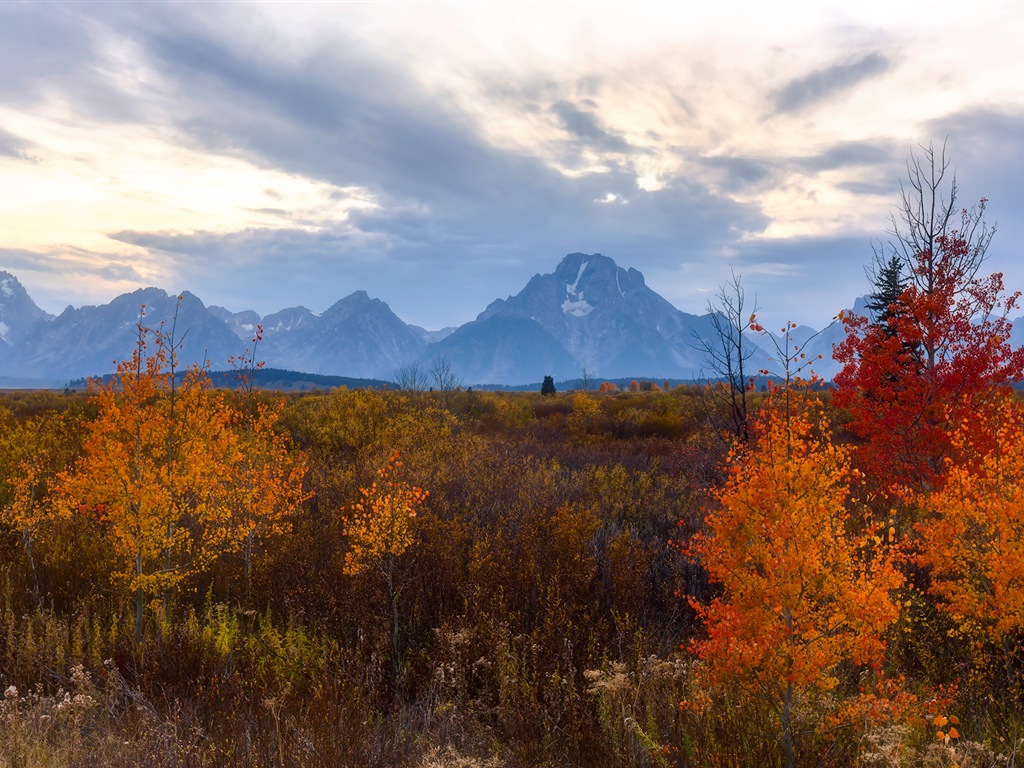 USA-großartige Teton Nationalparknatur-Landschaftstapeten HD #17 - 1024x768