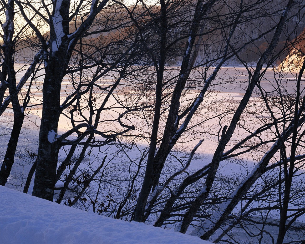 Nieve fondos de escritorio de los bosques (2) #2 - 1280x1024