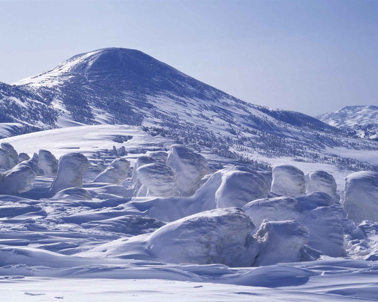 Snow forest wallpaper (2) #15 - 1280x1024