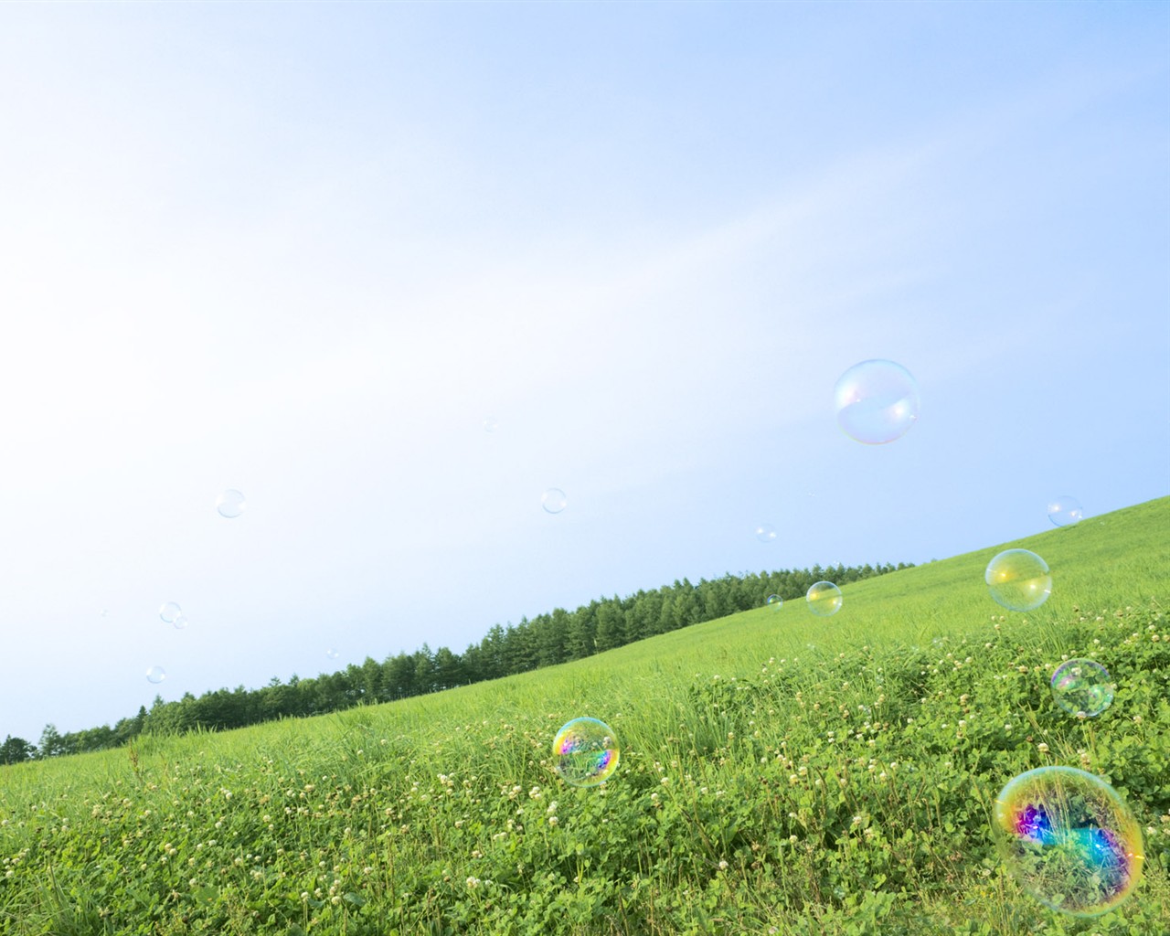 Green Grass wallpaper (1) #9 - 1280x1024