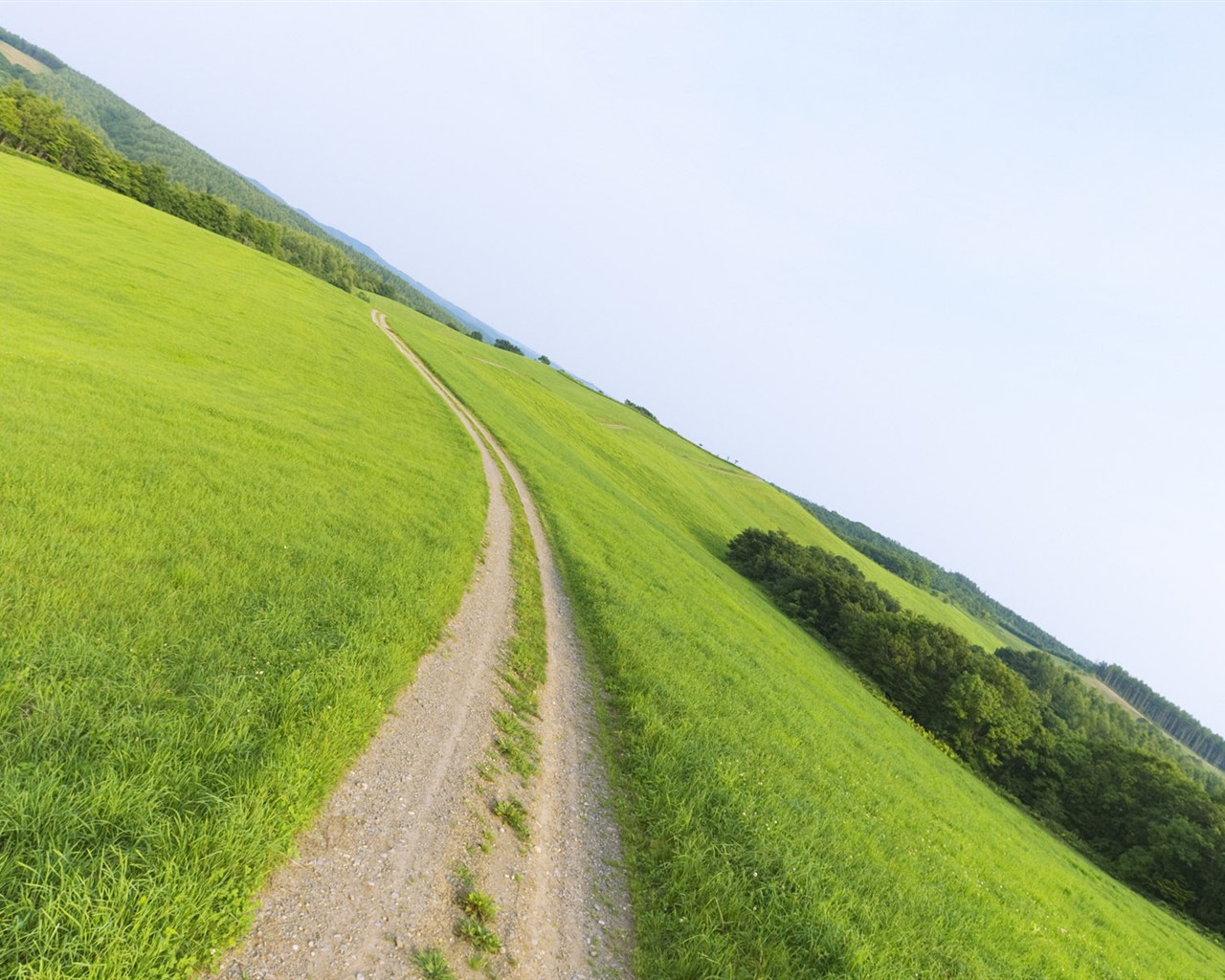 Green Grass wallpaper (2) #17 - 1280x1024
