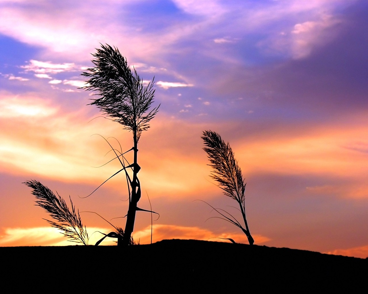 Vista Plant wallpaper (2) #15 - 1280x1024