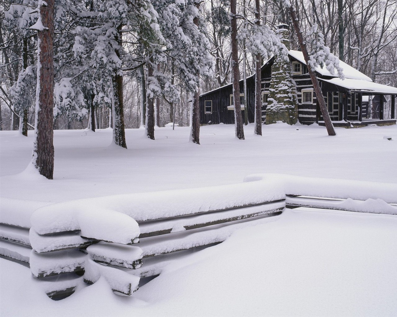 forêt, la neige fond d'écran (3) #8 - 1280x1024