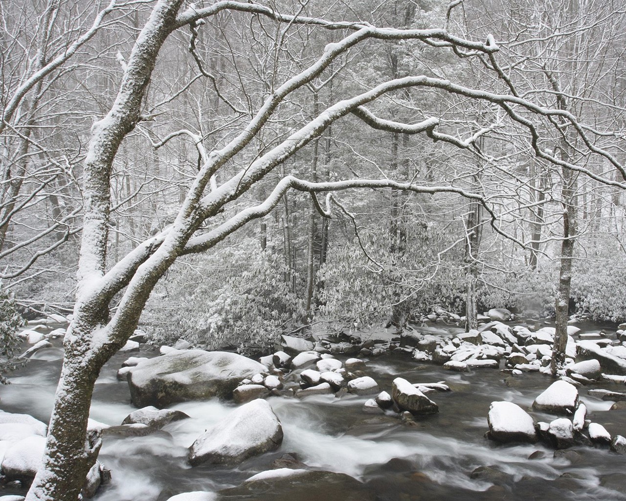 forêt, la neige fond d'écran (3) #12 - 1280x1024