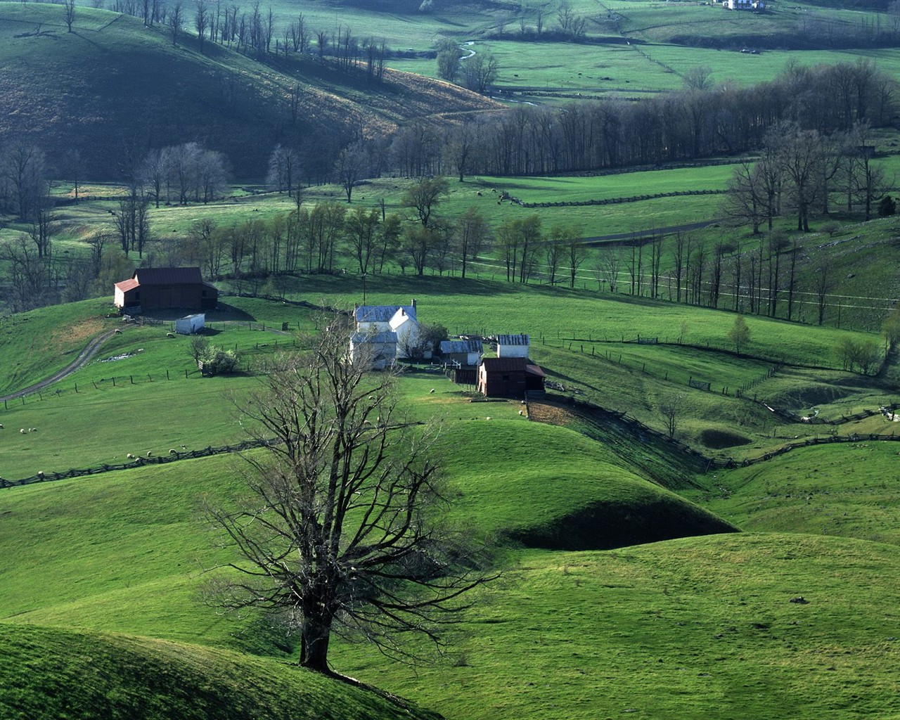 Natural Scenery Highlights (2) #8 - 1280x1024