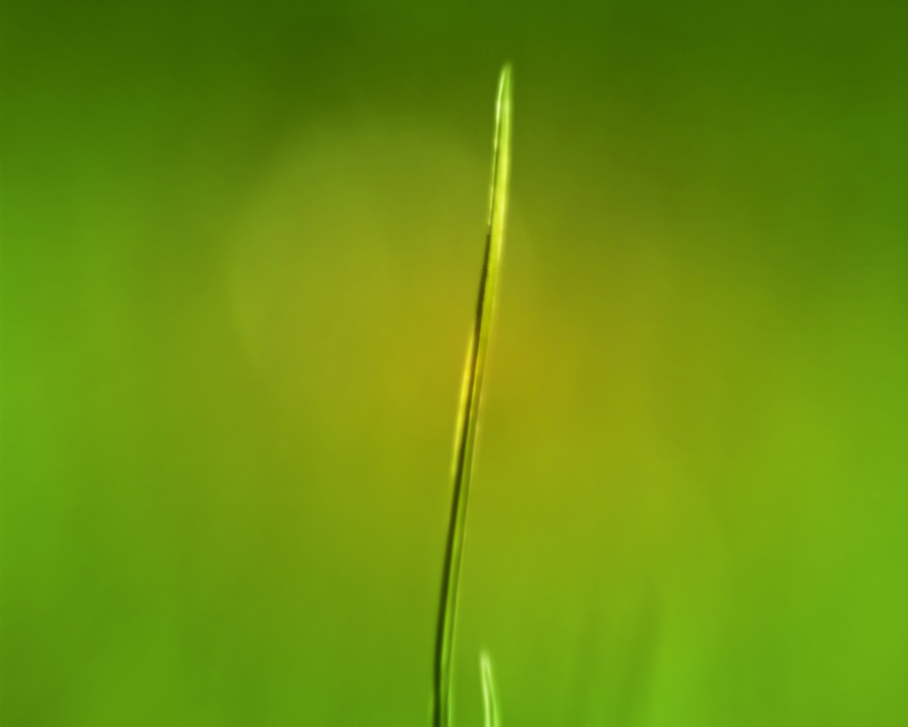 Vista 植物壁紙(三) #15 - 1280x1024