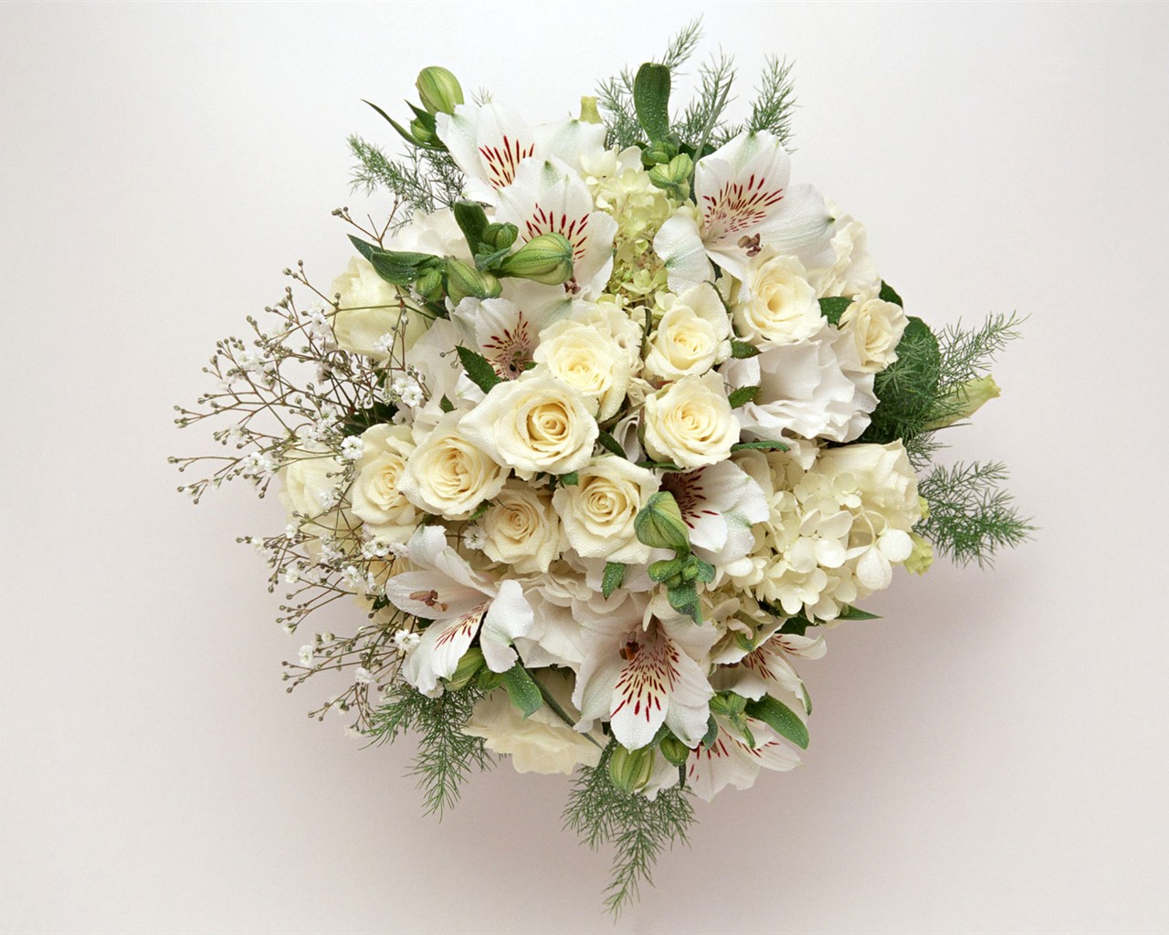 桌面鮮花壁紙精選(二) #3 - 1280x1024