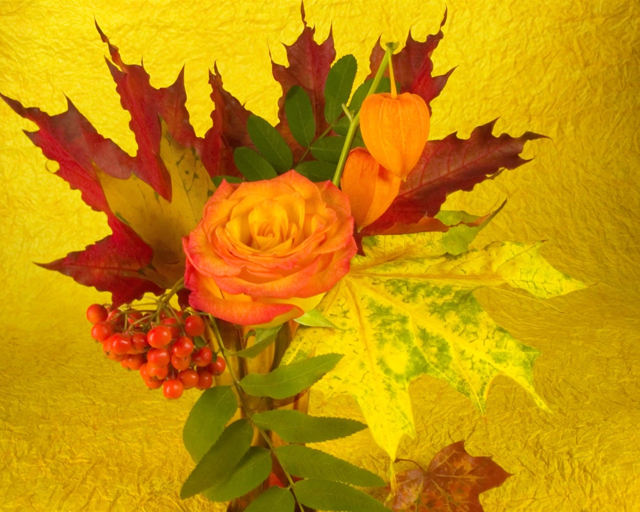 Květiny close-up (2) #3 - 1280x1024