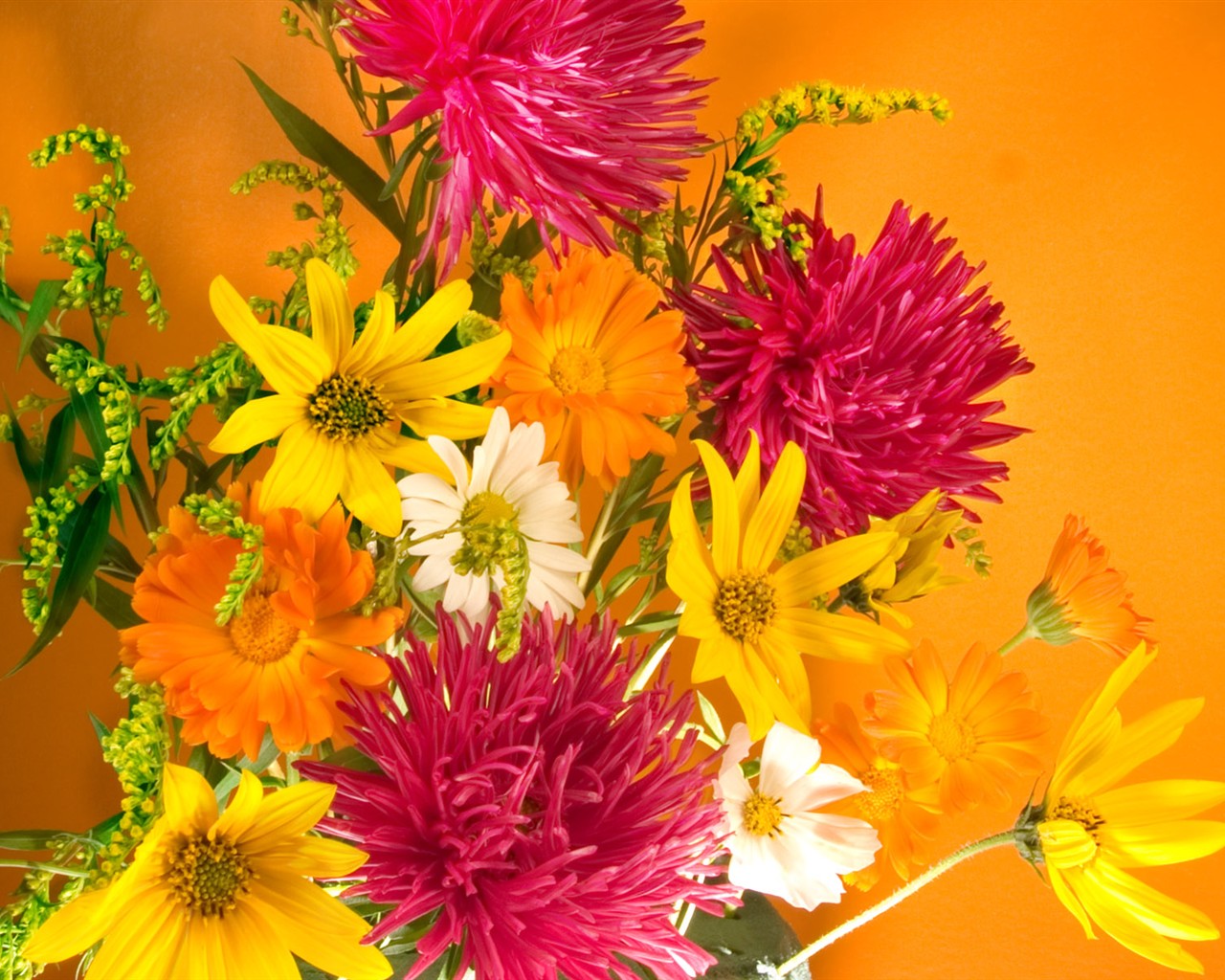 Květiny close-up (2) #18 - 1280x1024