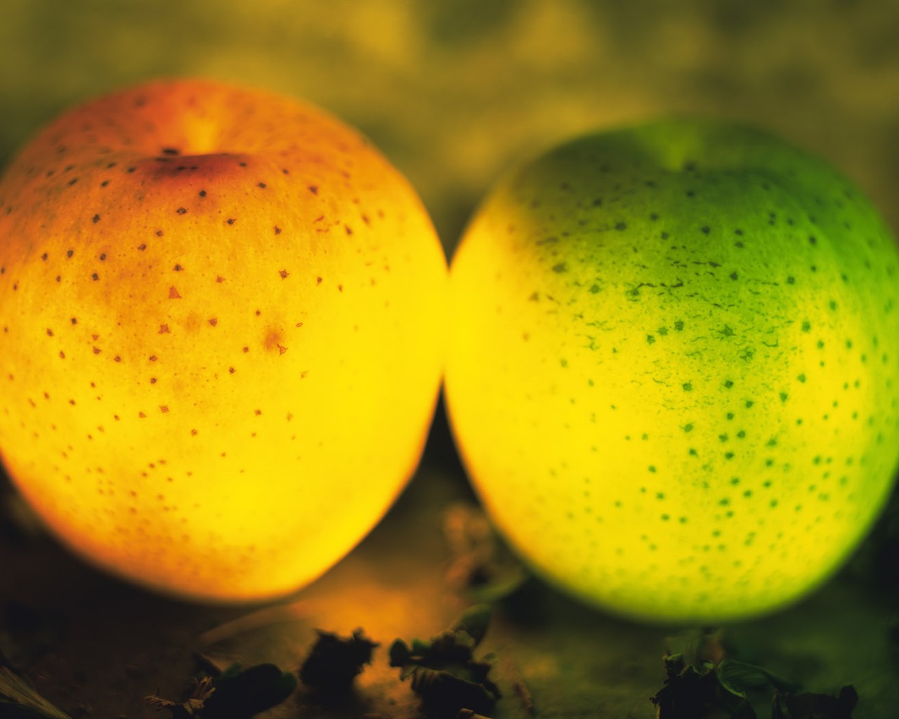 Light fruit Feature (1) #17 - 1280x1024