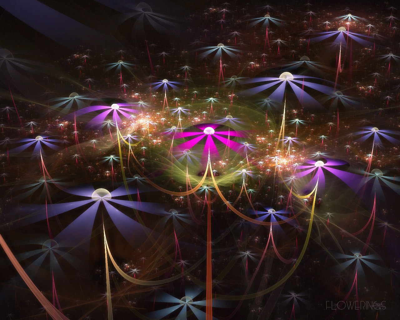 3D夢幻抽象花朵壁紙 #7 - 1280x1024
