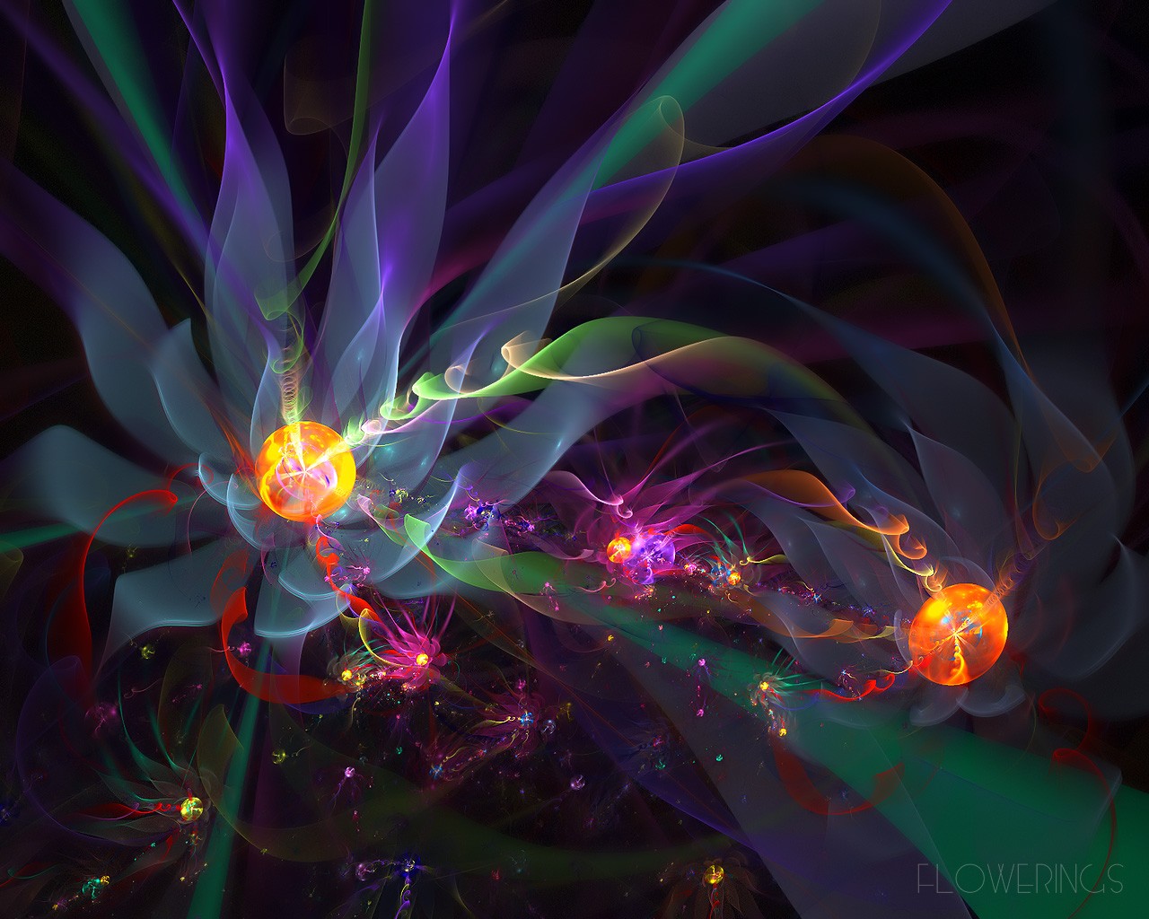 3D夢幻抽象花朵壁紙 #11 - 1280x1024