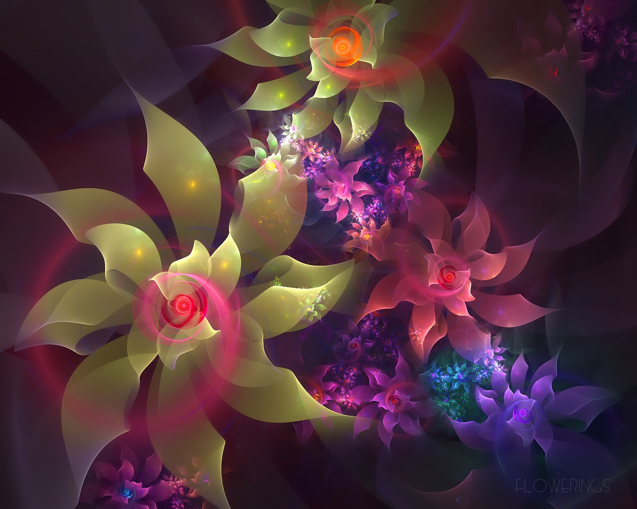 3D梦幻抽象花朵壁纸12 - 1280x1024