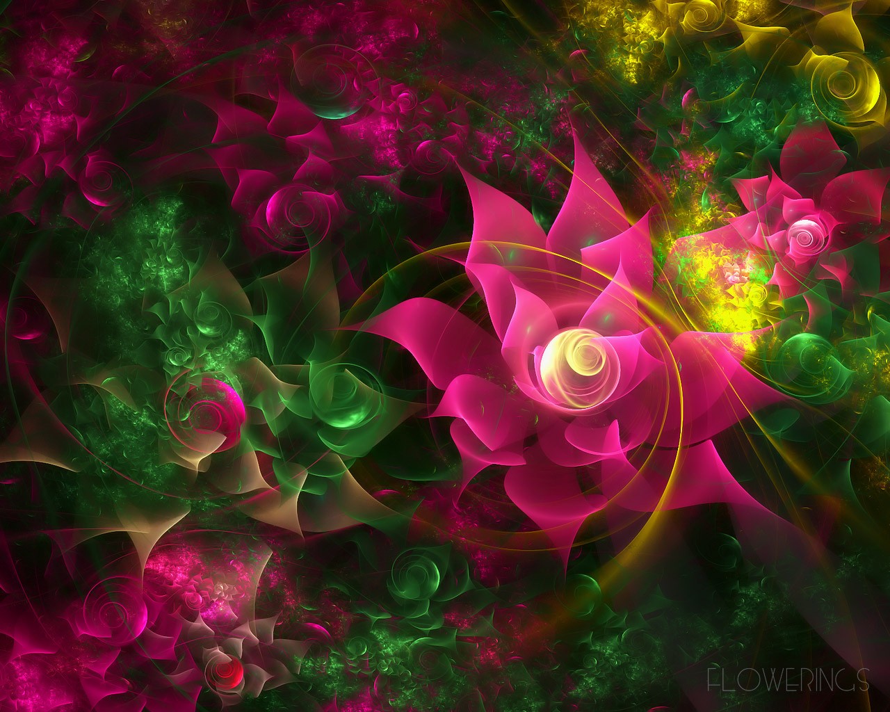3D梦幻抽象花朵壁纸16 - 1280x1024