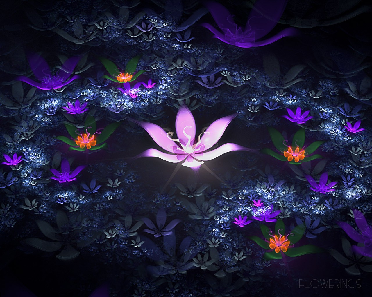 3D梦幻抽象花朵壁纸17 - 1280x1024