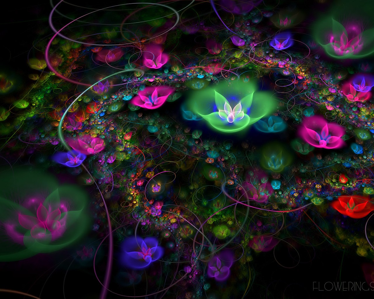 3D梦幻抽象花朵壁纸18 - 1280x1024