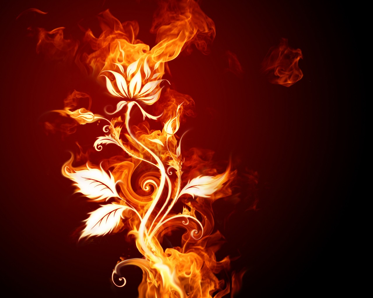 Fireworks wallpaper theme of creativity #29 - 1280x1024