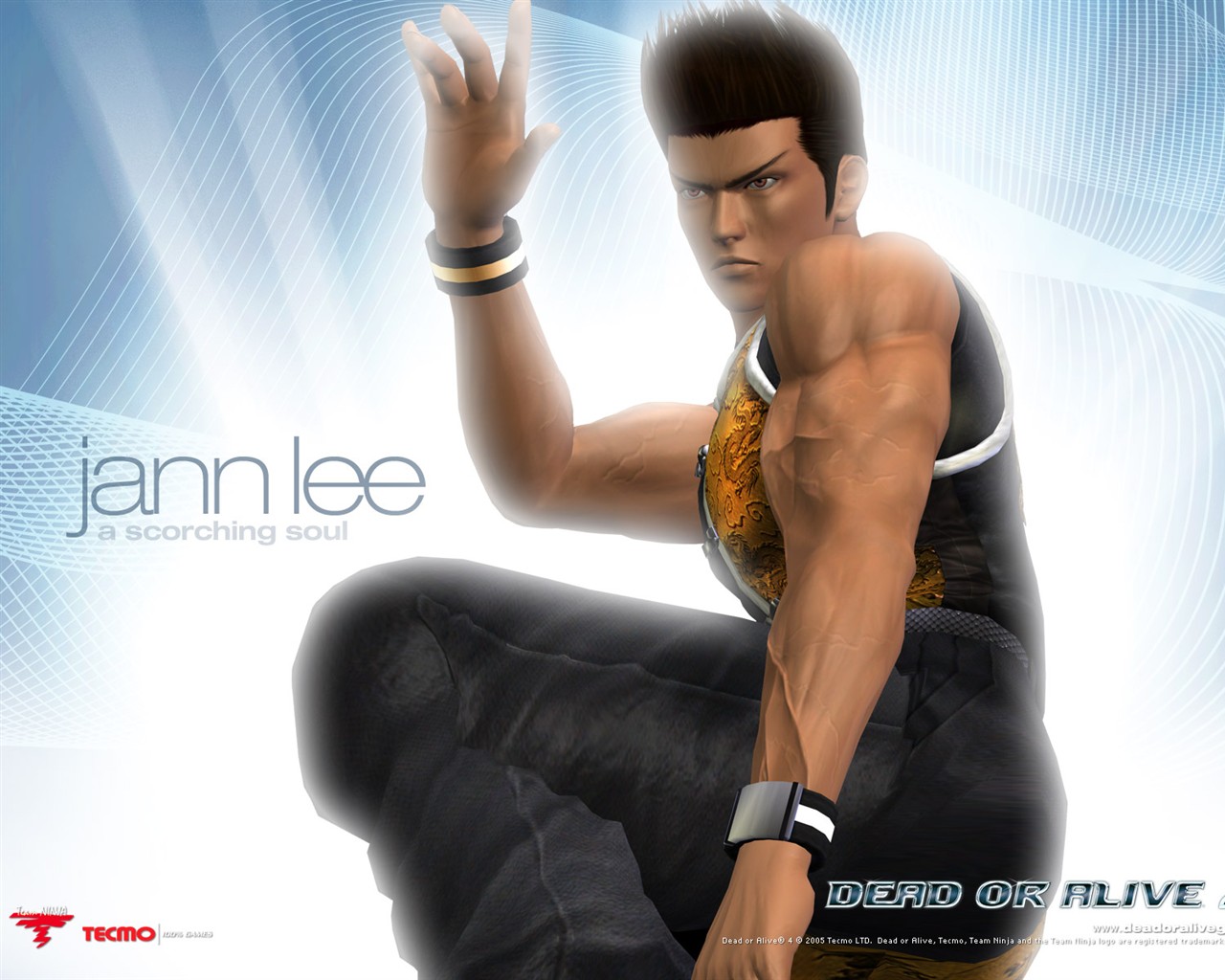 Dead or Alive 4 wallpaper albums #7 - 1280x1024