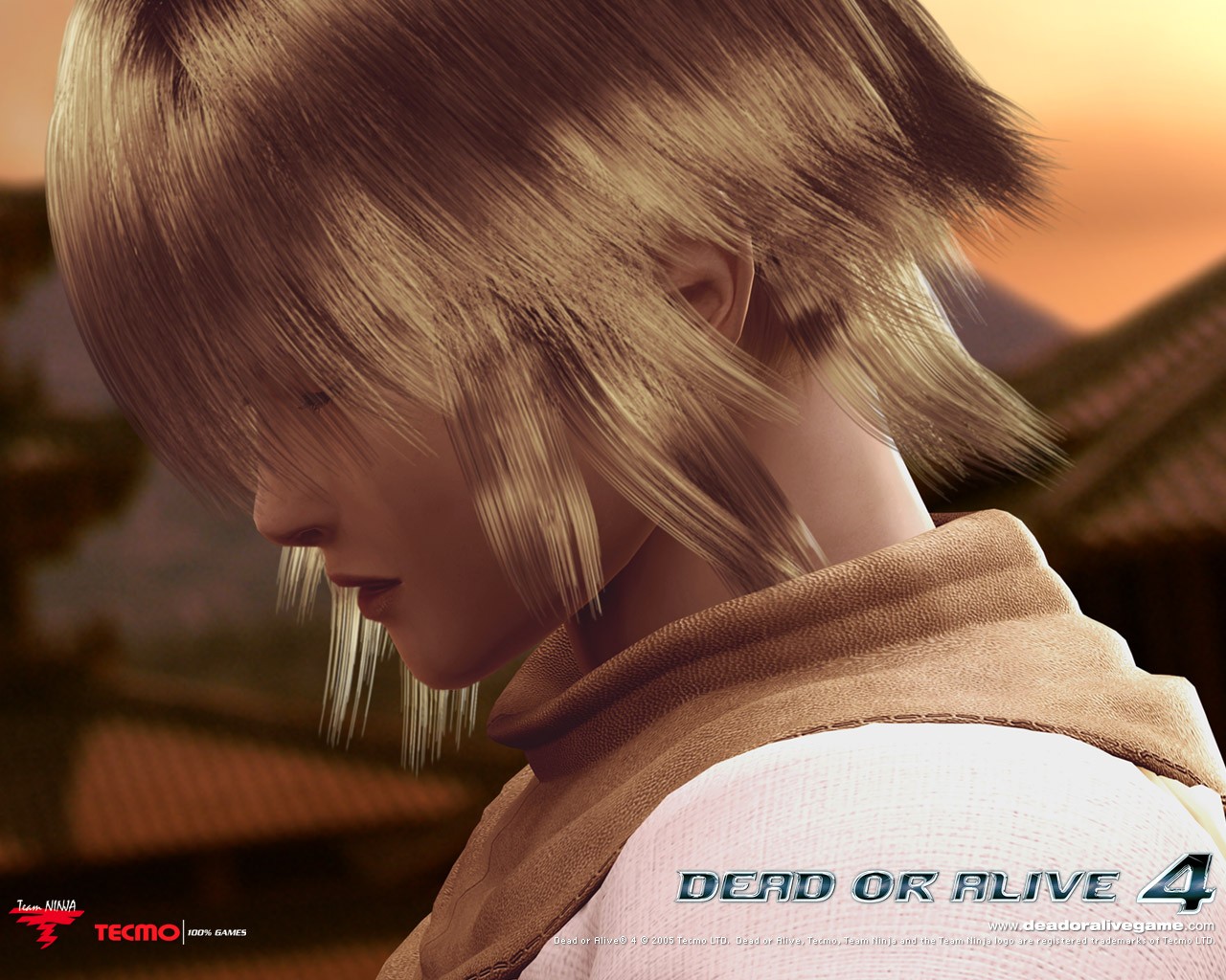 Dead or Alive 4 wallpaper alba #16 - 1280x1024