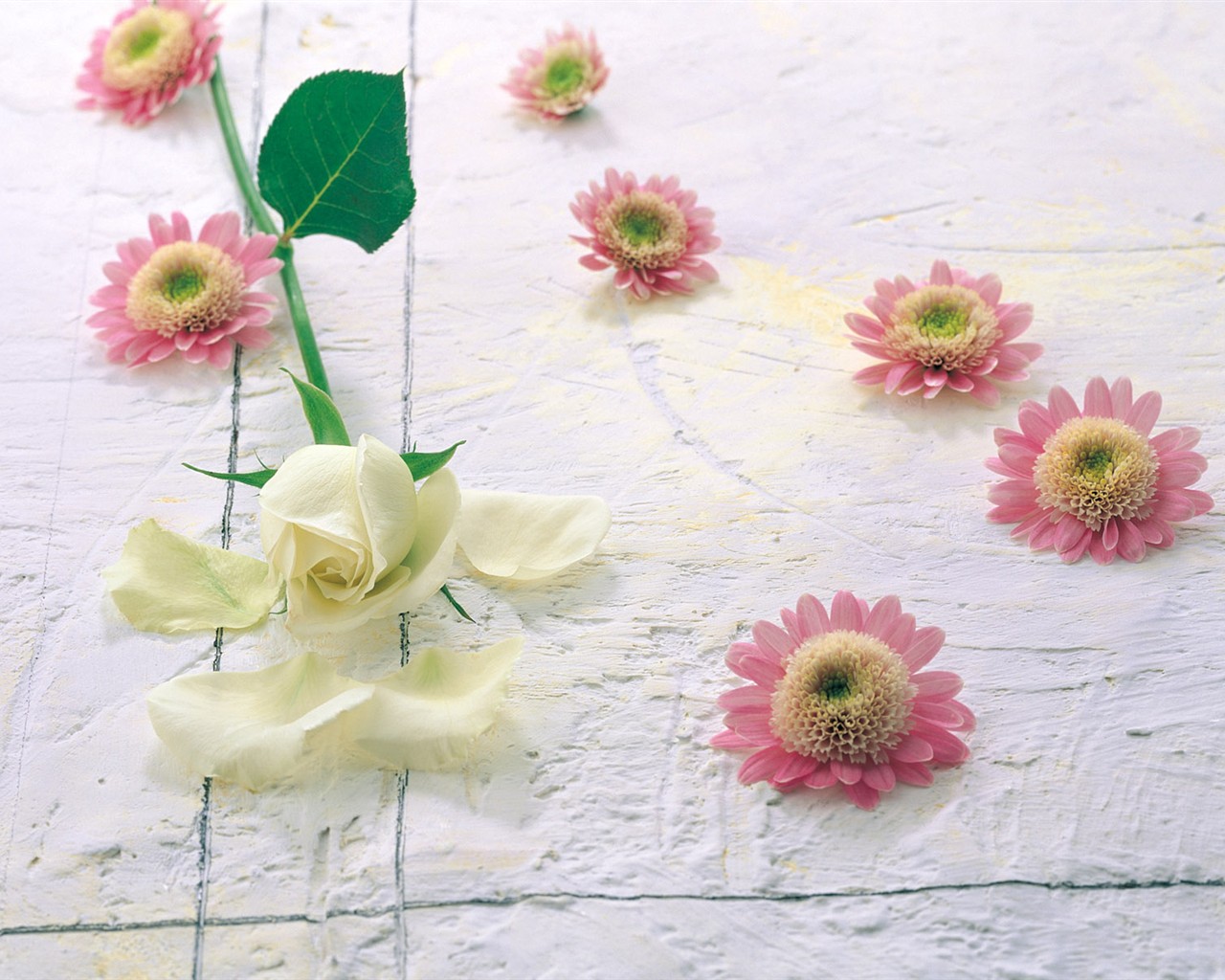 Indoor flower wallpaper (1) #8 - 1280x1024
