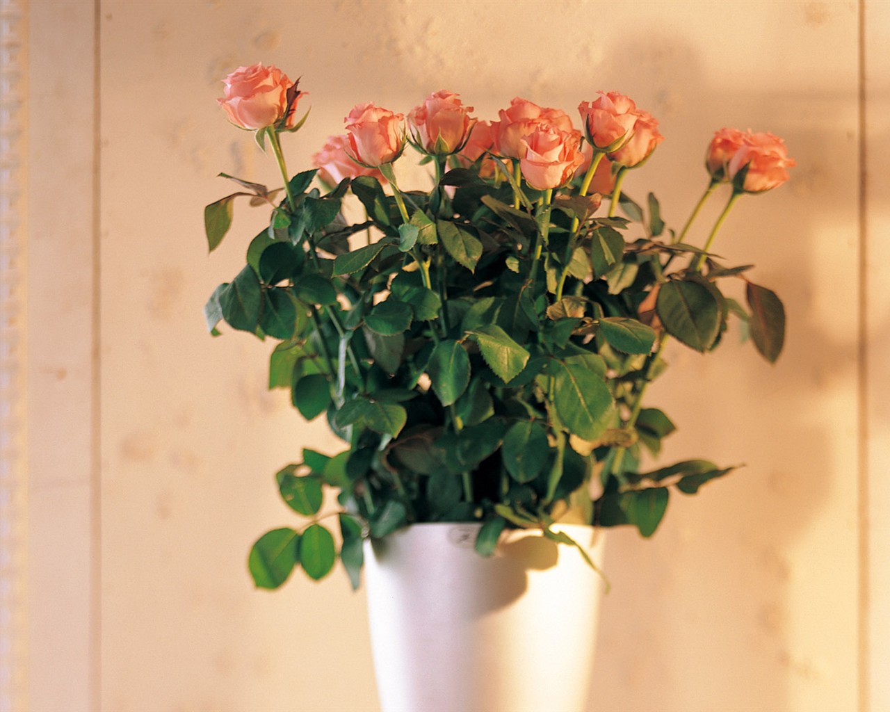 Indoor flower wallpaper (1) #28 - 1280x1024