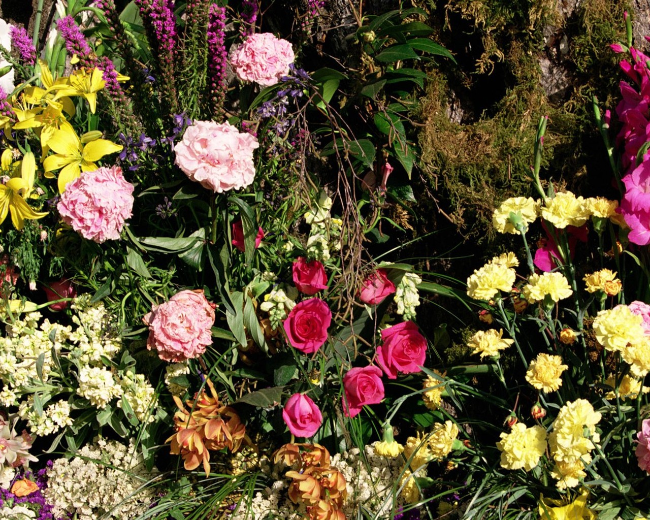 Fondo de pantalla cubierta de flores (2) #29 - 1280x1024