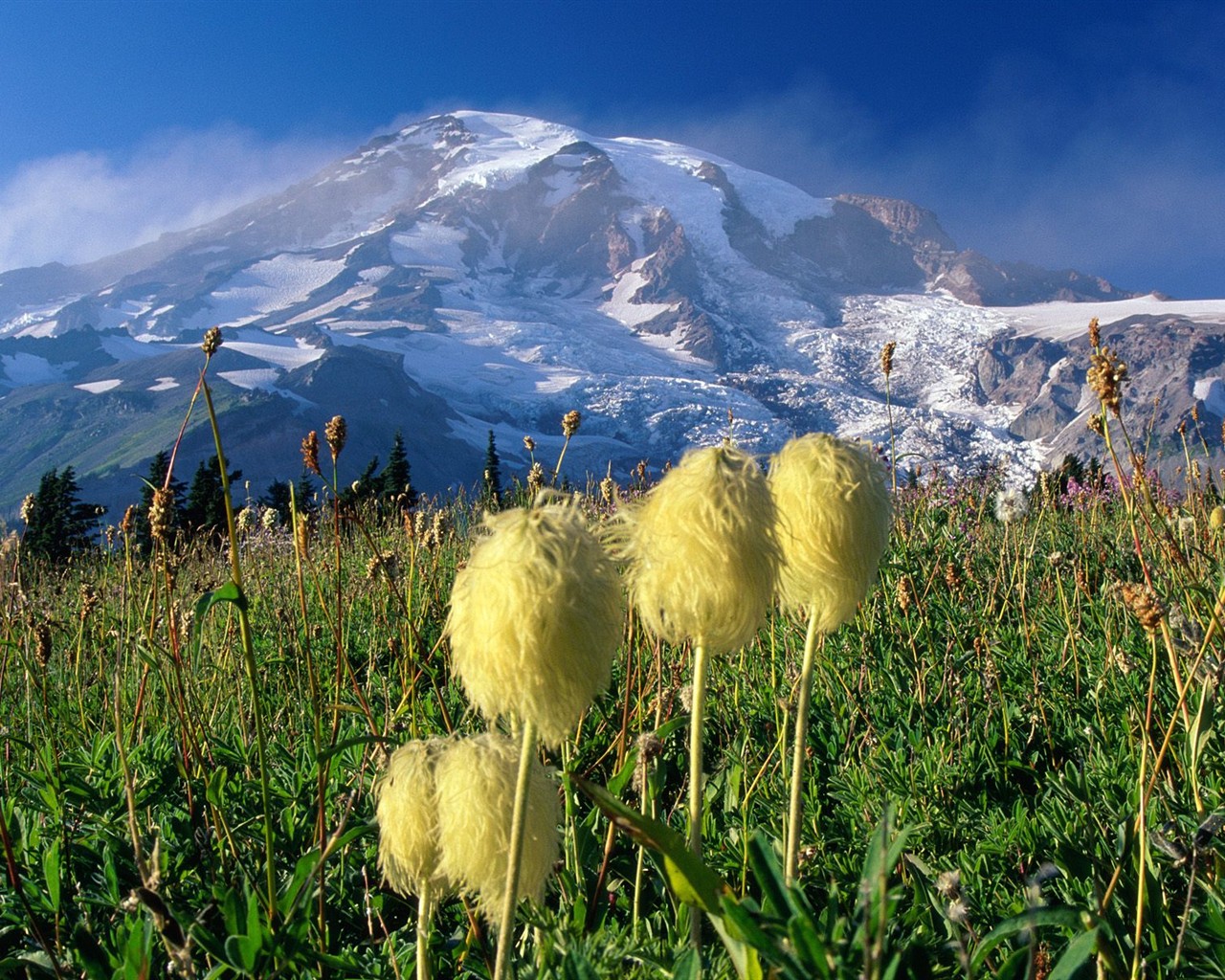 Webshots paysages naturels Fond d'écran #38 - 1280x1024