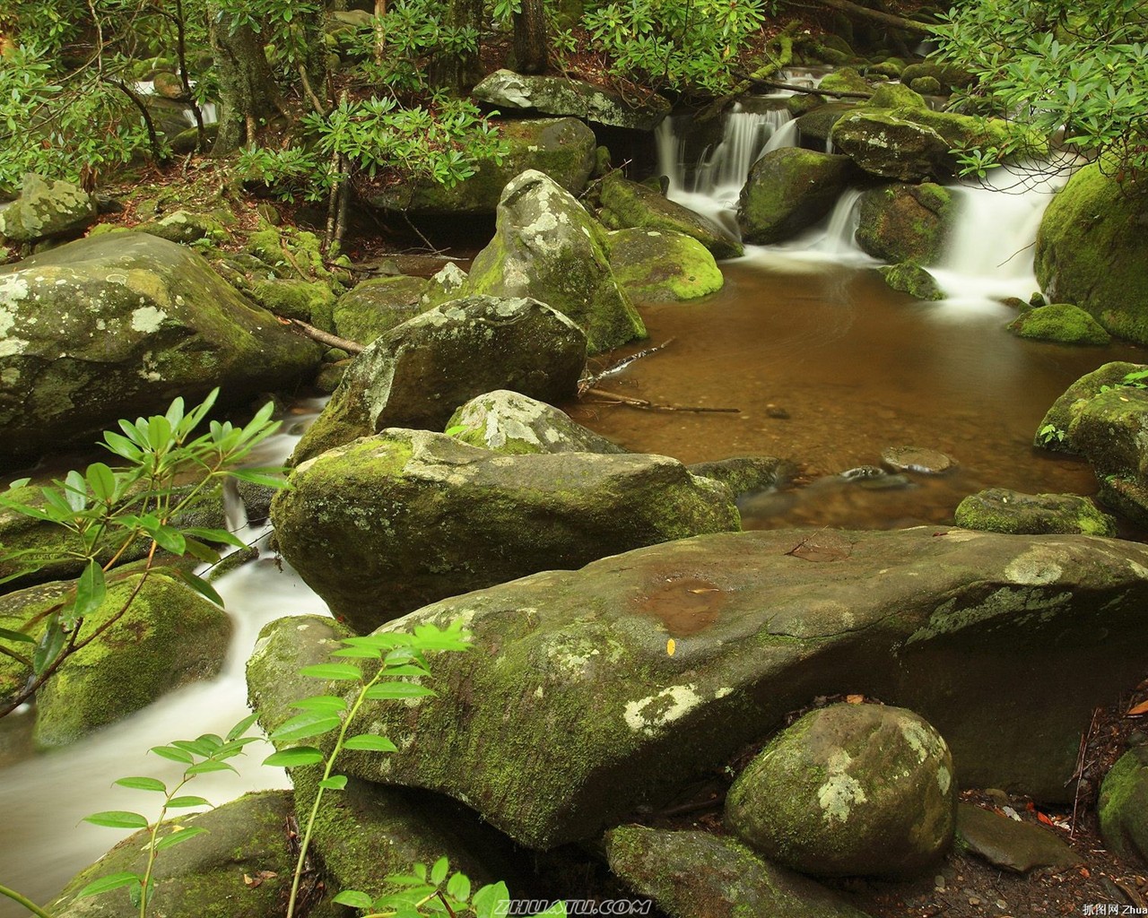 Falls Lesní HD Wallpaper #16 - 1280x1024