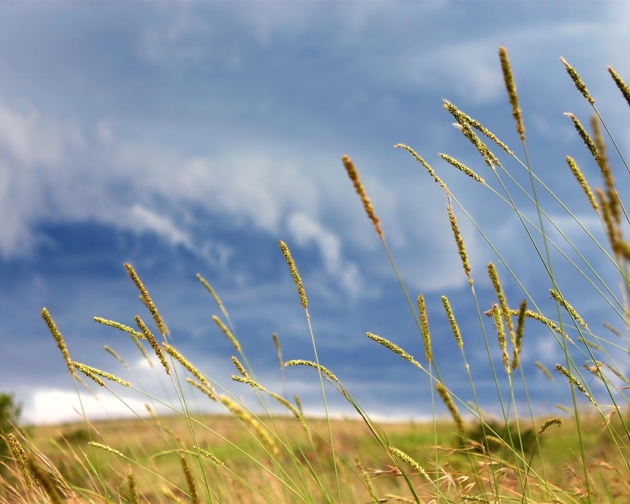 Krásná krajina na plochu #37 - 1280x1024