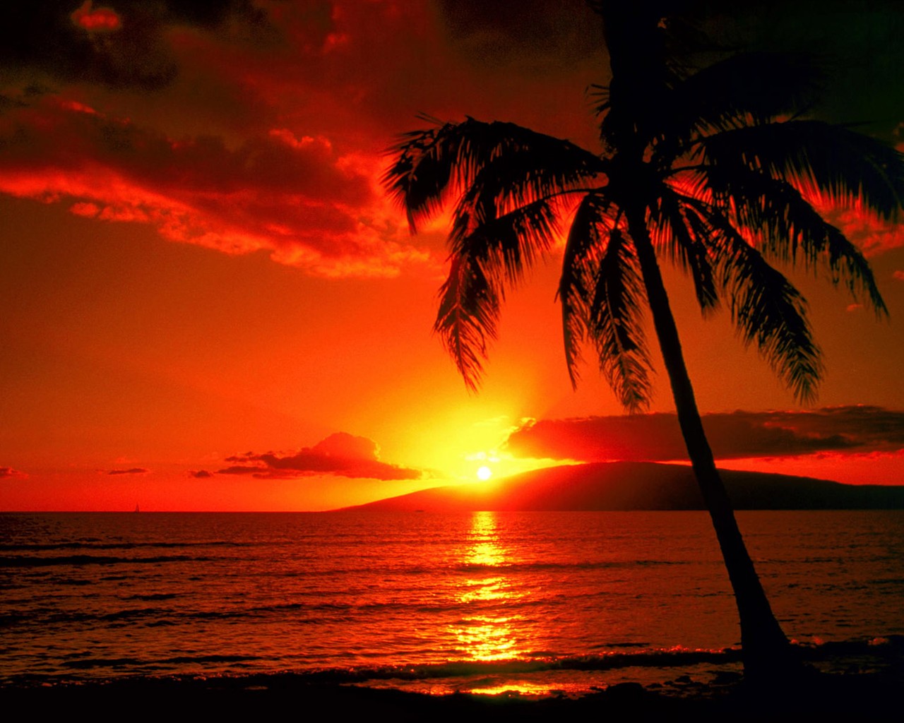 Wunderschöne Sonnenauf-und Sonnenuntergang Wallpaper #20 - 1280x1024