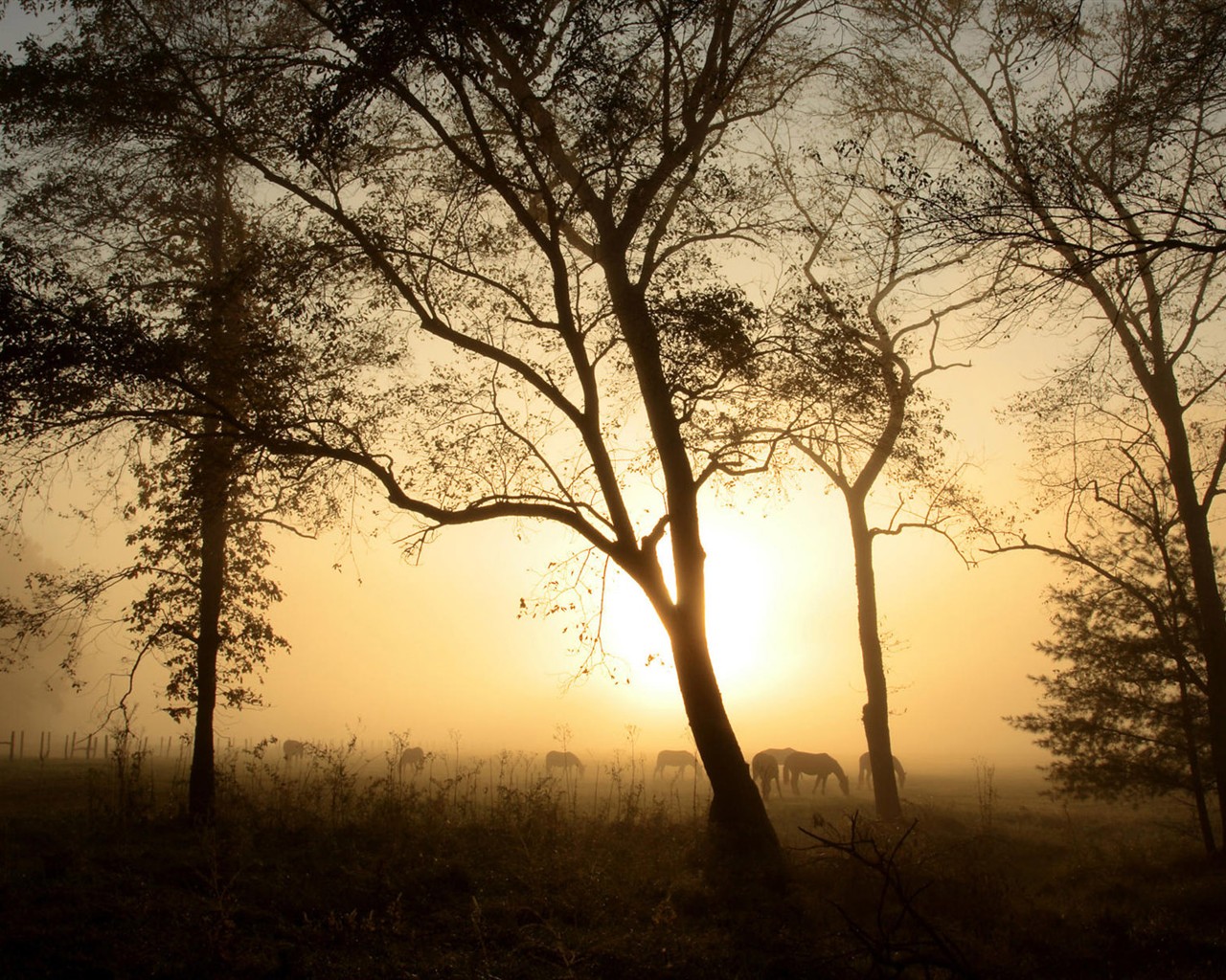 Beautiful sunrise and sunset wallpaper #25 - 1280x1024