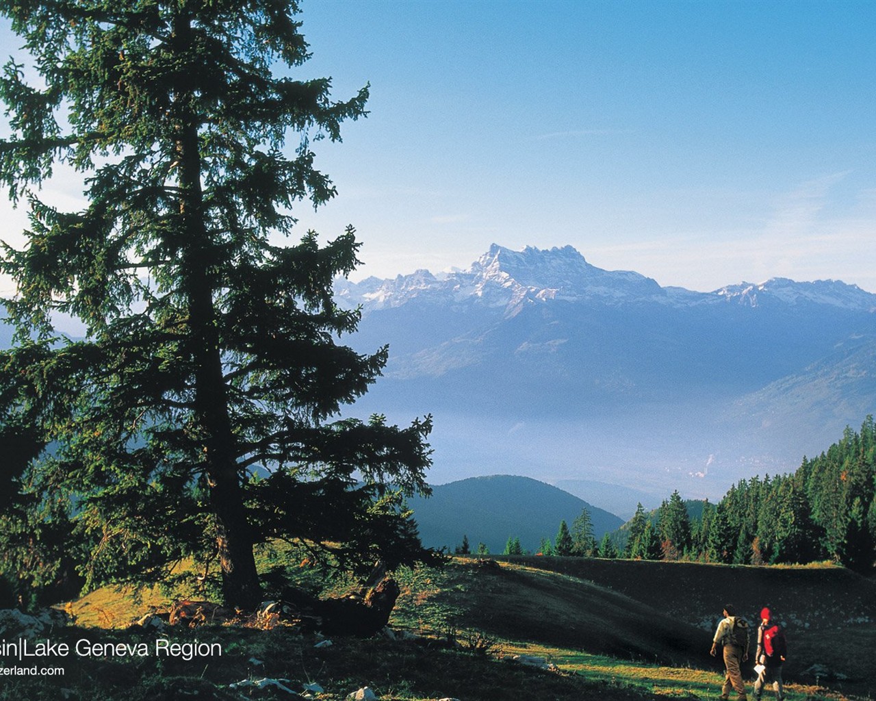 Schweiz Tapete Sommertourismus Attraktionen #1 - 1280x1024