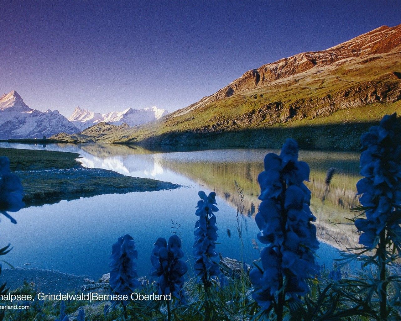 Switzerland wallpaper summer tourism attractions #10 - 1280x1024