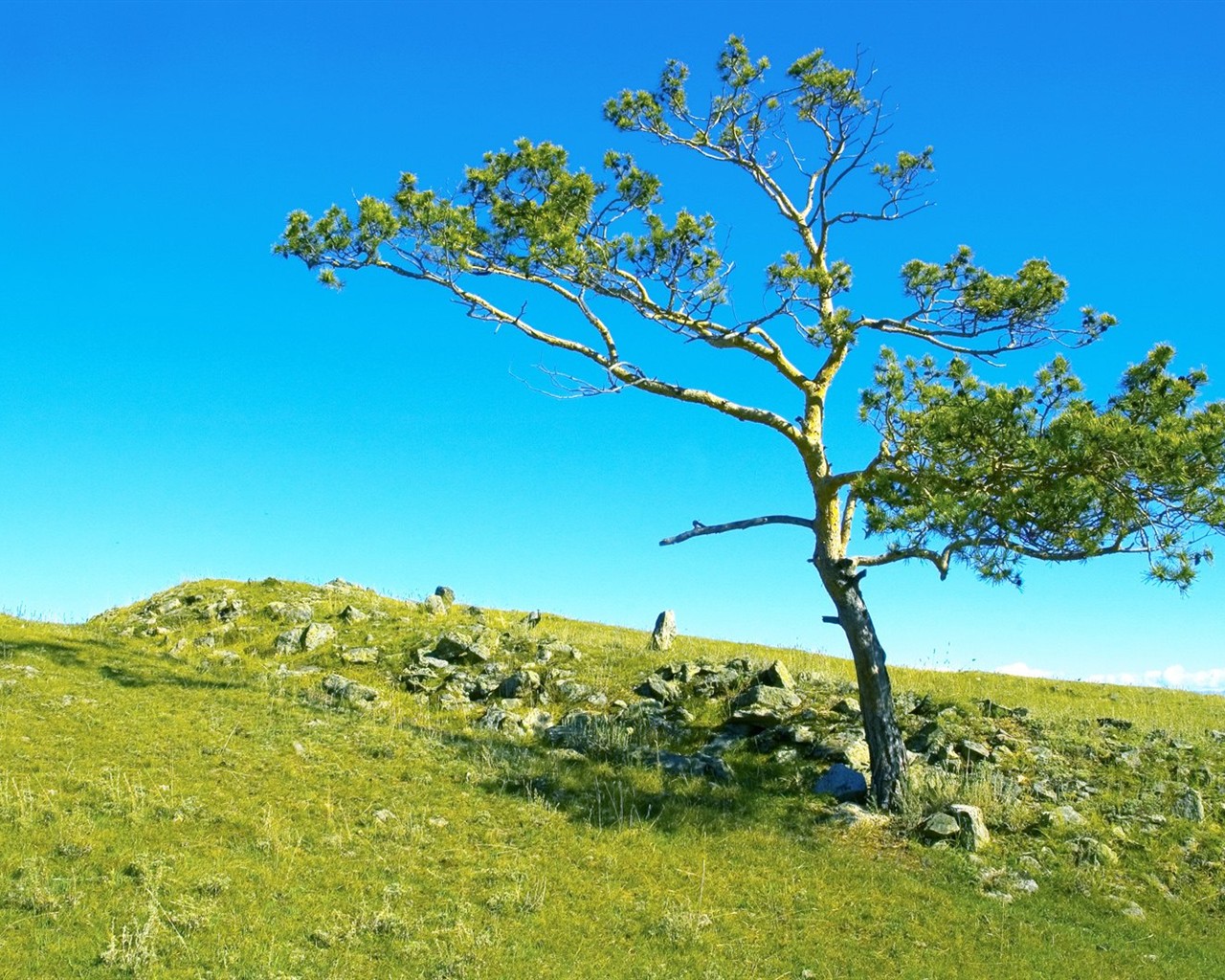 Krásné přírodní scenérie na Sibiři #5 - 1280x1024