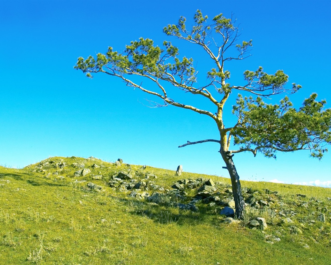 Un beau paysage naturel en Sibérie #5 - 1280x1024