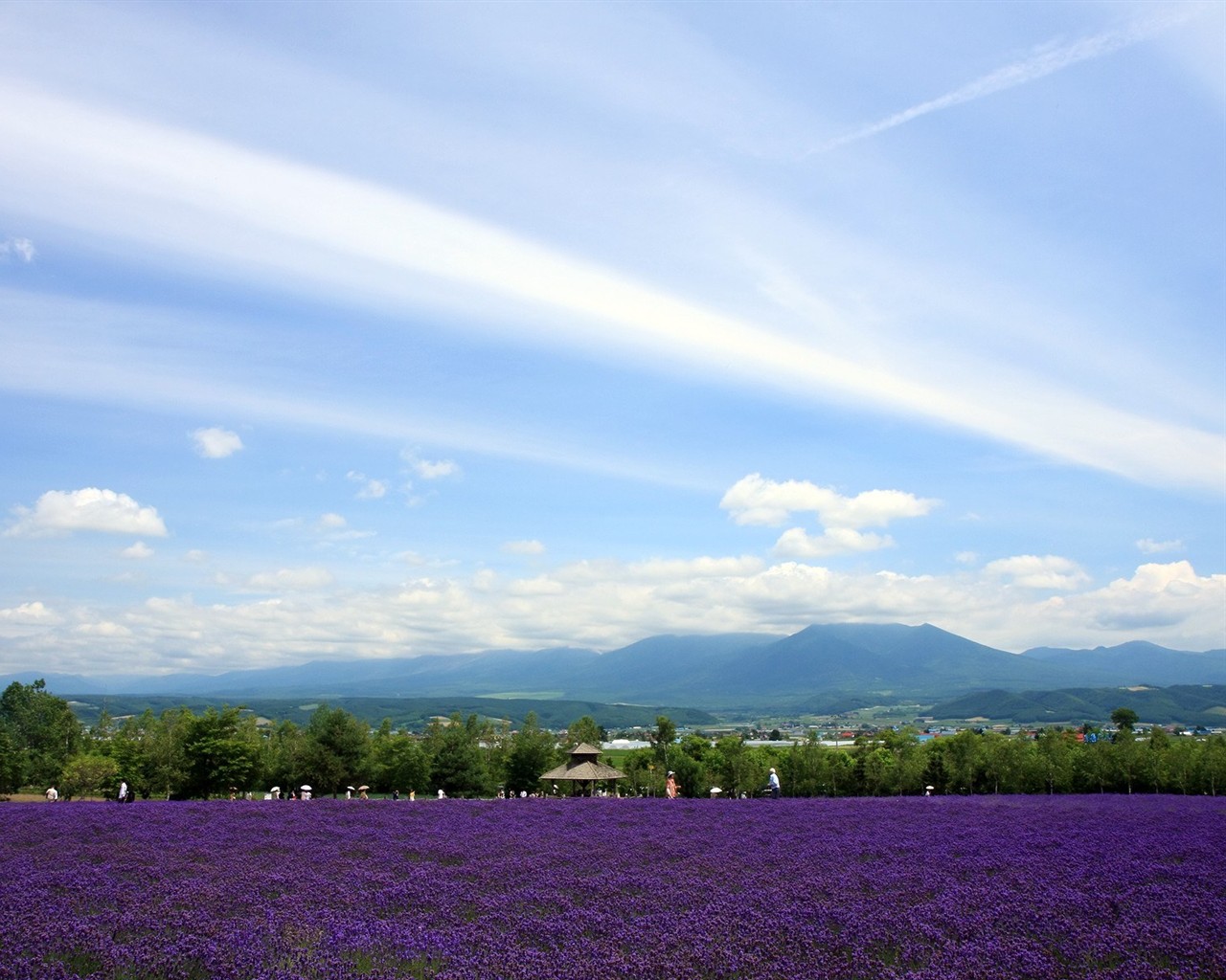 paysage de campagne Hokkaido #3 - 1280x1024