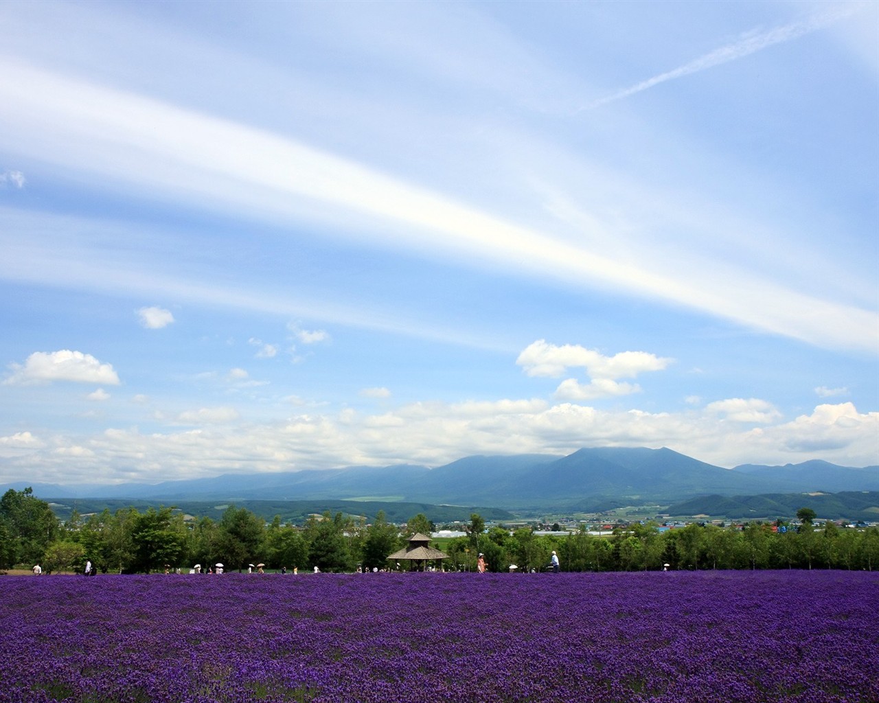 夏日北海道郊外風景 #3 - 1280x1024