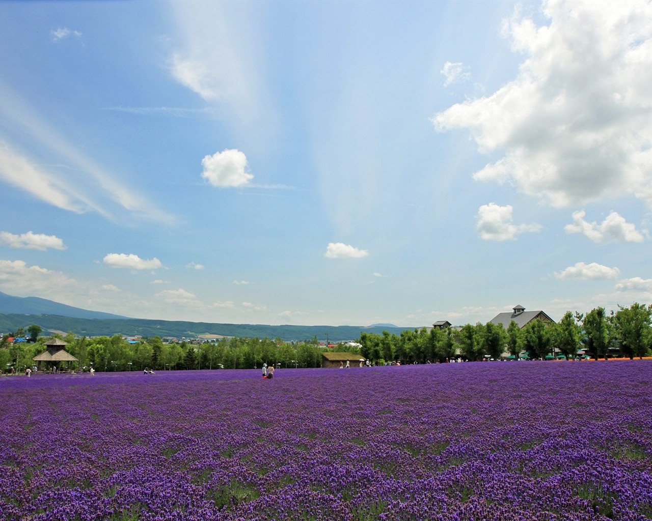 paysage de campagne Hokkaido #4 - 1280x1024