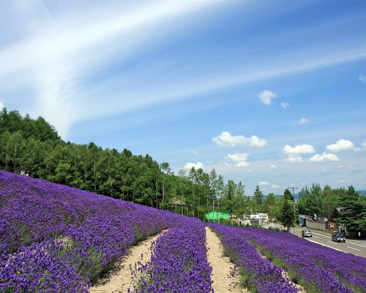 Hokkaido ländlicher Umgebung #5 - 1280x1024