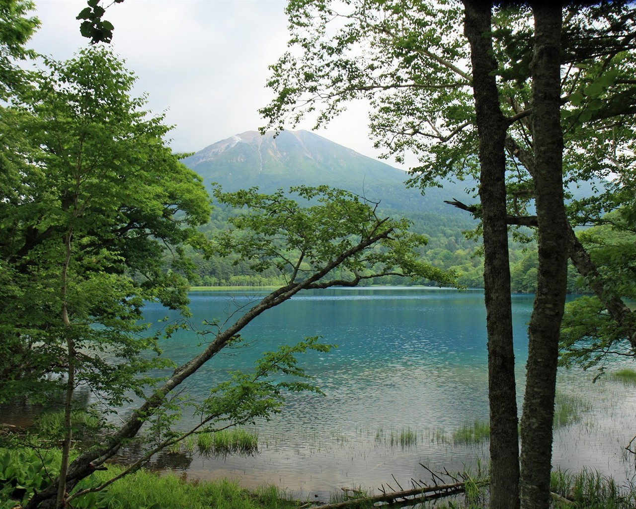 Hokkaido krajiny Krajina #9 - 1280x1024