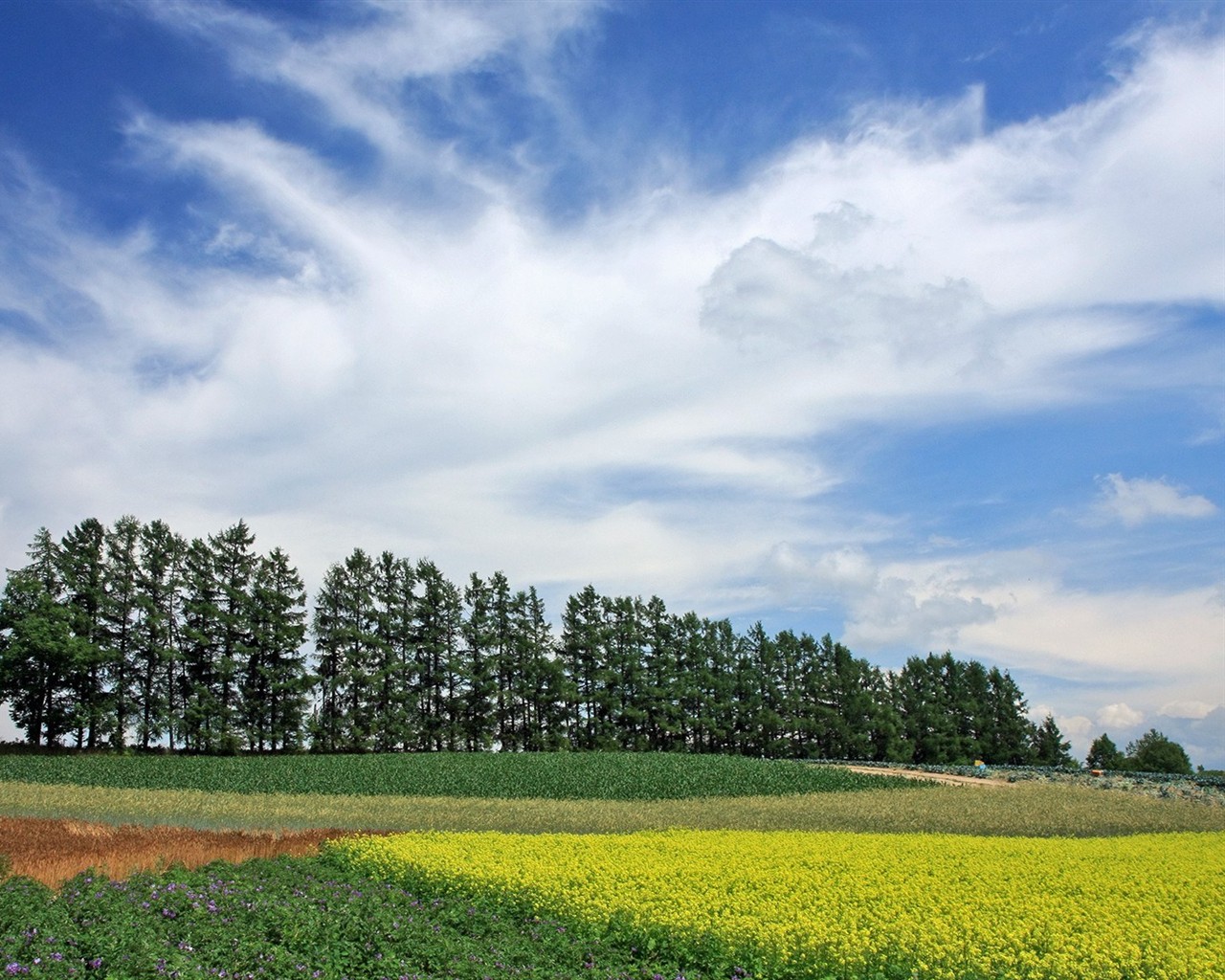 Hokkaido countryside scenery #18 - 1280x1024