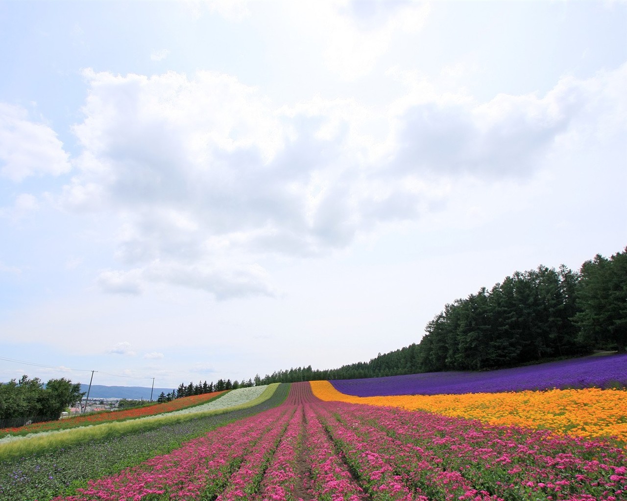 Hokkaido countryside scenery #19 - 1280x1024