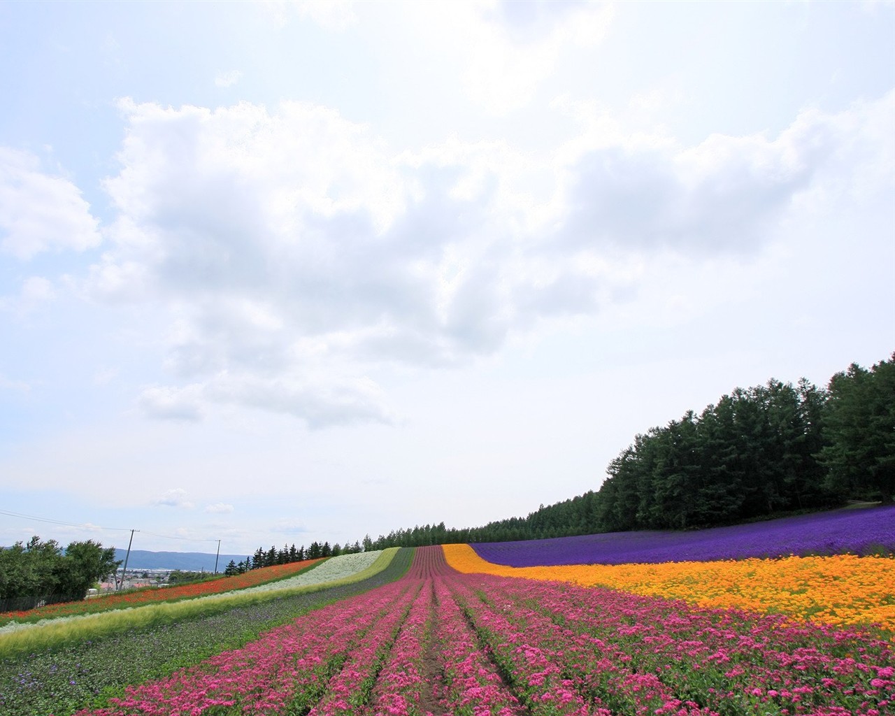 Hokkaido krajiny Krajina #19 - 1280x1024