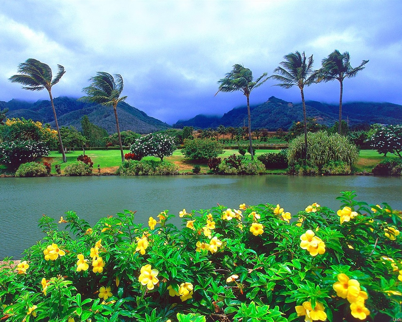 paisaje playa de Hawai #1 - 1280x1024